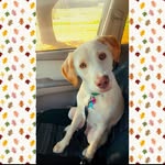Avery Jane Shockley - @averyjane18 - Instagram