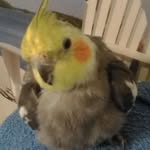 Jan Shockley - @jan.shockley.52 - Instagram