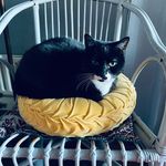 Paula Jane Shuter - @paulajaneshuter - Instagram