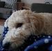 Jane Silverman - Facebook