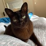 Jane Sinclair - @janesinclair57 - Instagram