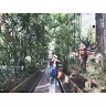 Jane Siow - @2152126157 - TikTok