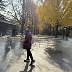 Jane siow - @janesiow71_ - Instagram