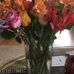 Jane Skaggs - Facebook