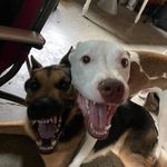 Jane Skaggs - @janeskaggs73 - Instagram
