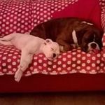 Janet Skeen - @janet.skeen - Instagram