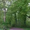 ja ne is klar - @ja.ne.is.klar1 - TikTok