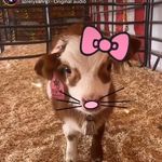 janeslay???!! - @urmoms_emogf - Instagram