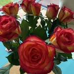 Jane Specht - @jane.specht.98 - Instagram
