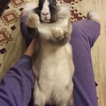 Jane Springer - @janespringer5079 - Instagram