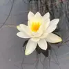 janespringer7 - @janespringer7 - TikTok