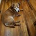 Janey Spry - Facebook
