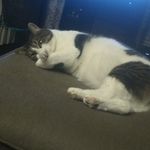 Jane Squires - @squires9540 - Instagram