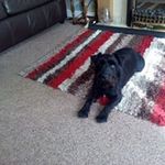 Jane Squires - @valerie.squires.39 - Instagram