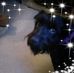 Jane Squires - Facebook