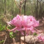 Jane Starnes - @tandjstarnes - Instagram