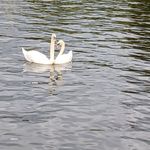 Jane Starnes - @jason.starnes.716 - Instagram