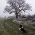 Jane Staton - Facebook