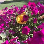 Jane StClair - @jane.stclair.940 - Instagram