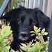 Jane Stedman - Facebook