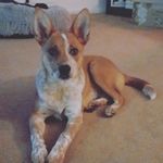 Janelle Stedman - @southernell_ - Instagram