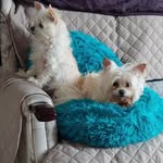 Jane Stephens - @janestephens7238 - Instagram