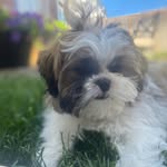 Jane Stephens - @jstephens5 - Instagram
