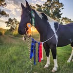Jane Stephens - @thehorselifechannel - Instagram