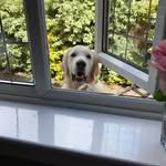 Jane Stephens - @janestephens5735 - Instagram