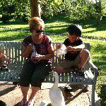jane stern - @sternjane - Instagram
