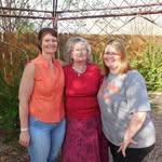Jane Walls Stitt - @jane.stitt.5 - Instagram