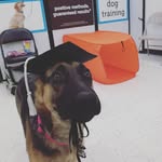 Raven - @raven_jane_hopper_stitt - Instagram