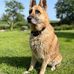 Jane Stocker - Facebook