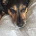 Jane Storey - Facebook