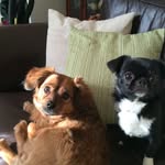 Karen Jane Strachan - @karen.young.5621149 - Instagram