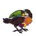 Jane Stumpf - Facebook