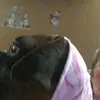 Jane - @janeswaine0 - TikTok