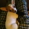 janeswain33 - @jane.swain1 - TikTok