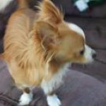 Janet Tackett - @janet_tackett - Instagram