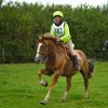 jane taggart - @janetaggart1 - TikTok