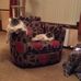 Jane Templeton - Facebook