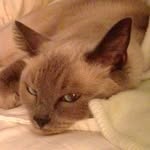 Janet Heisinger - @janetheisinger - Instagram