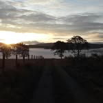 Jane Thomson - @jane.thomson.1969 - Instagram