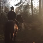 Jane Thomson - @tjanethomson - Instagram