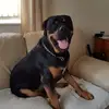 Jane Thomson - @jane.thomson92 - TikTok