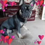 Jane Tilley - @jane.tilley1 - Instagram