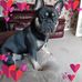 Jane Tilley - Facebook