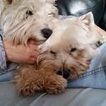 Jane Tilley - @janetilley1959 - Instagram