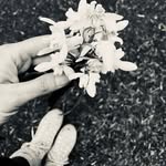 Jane Tilley - @janeyjane_83 - Instagram