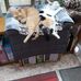 Janet Tilley - Facebook